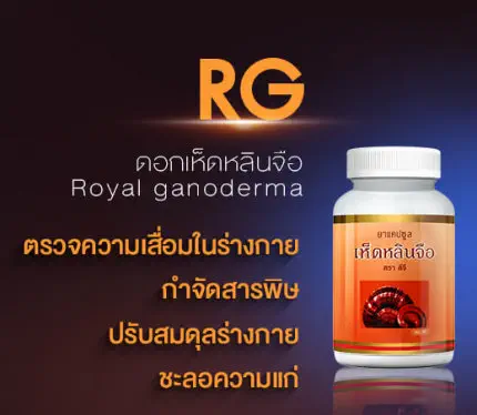 ดอกเห็ดหลินจือ Royal ganoderma ตรวจความเสื่อมในร่างกาย กำจัดสารพิษ ปรับสมดุลร่างกาย ชะลอความแก่